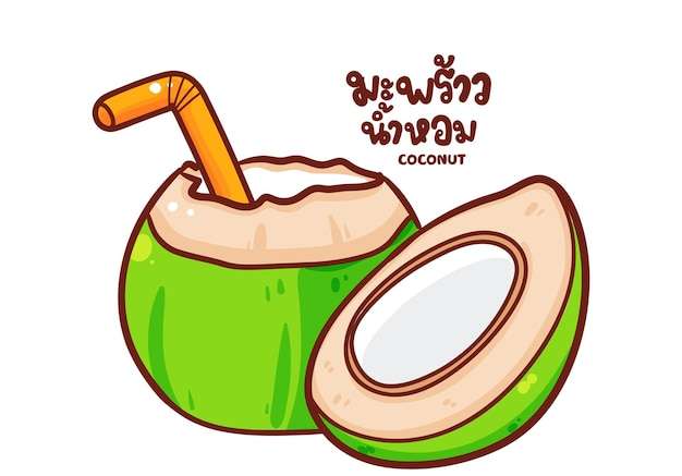 Hình ảnh vector Nước dừa logo trái cây hữu cơ vẽ tay phim hoạt hình nghệ thuật minh họa