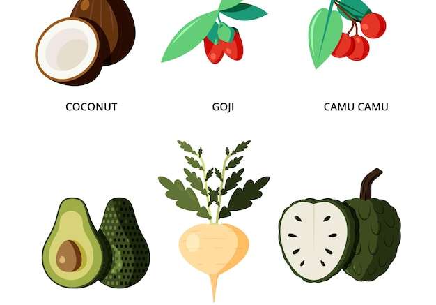 Hình ảnh vector Siêu thực phẩm rau và trái cây bị cô lập trên nền trắng