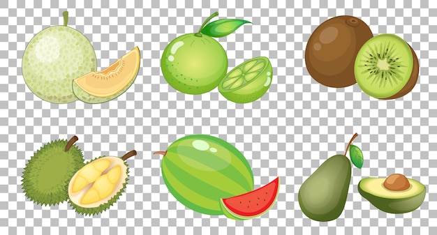 Hình ảnh vector Tập hợp các loại trái cây khác nhau bị cô lập