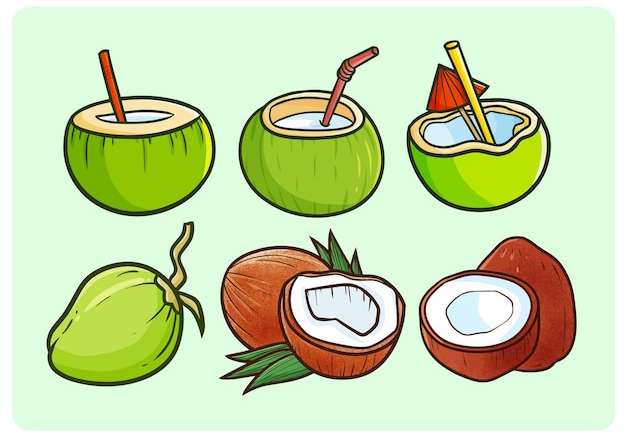 Hình ảnh vector Trái dừa và đồ uống ngộ nghĩnh theo phong cách vẽ nguệch ngoạc đơn giản