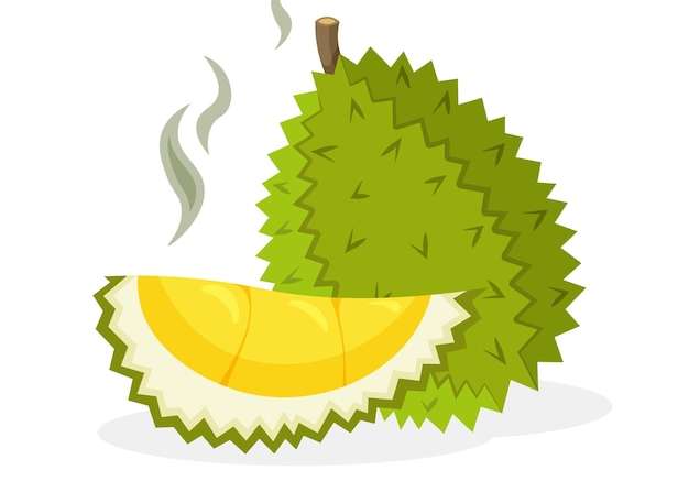 Hình ảnh vector Trái sầu riêng có mùi hôi. toàn bộ và miếng biểu tượng vector thực phẩm trái cây theo phong cách hoạt hình hợp thời trang