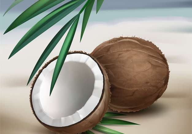 Hình ảnh vector Vector toàn bộ và nửa quả dừa màu nâu với lá cọ xanh bị cô lập trên nền mờ bên bờ biển